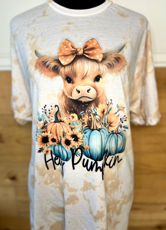 Hey pumpkin dyed tee