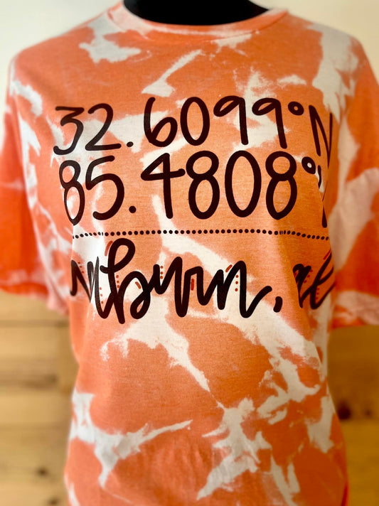 Auburn Coordinates